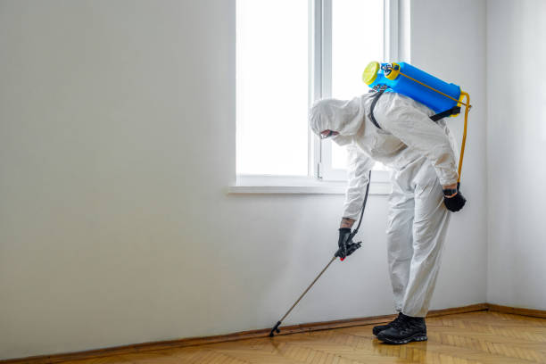 Emergency Pest Control in Buhl, ID